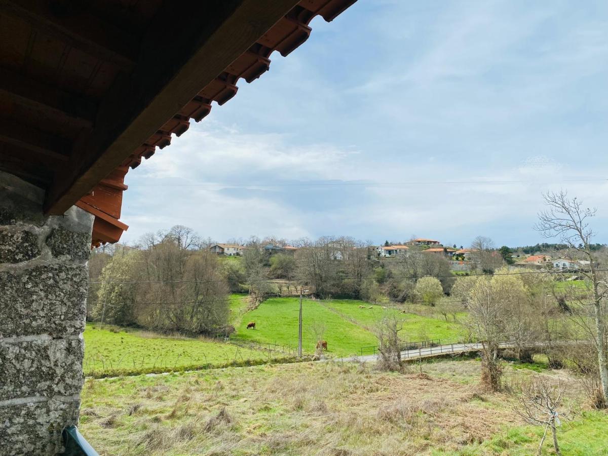 Villa Casinha Da Ti'Augusta Lamego Exterior foto
